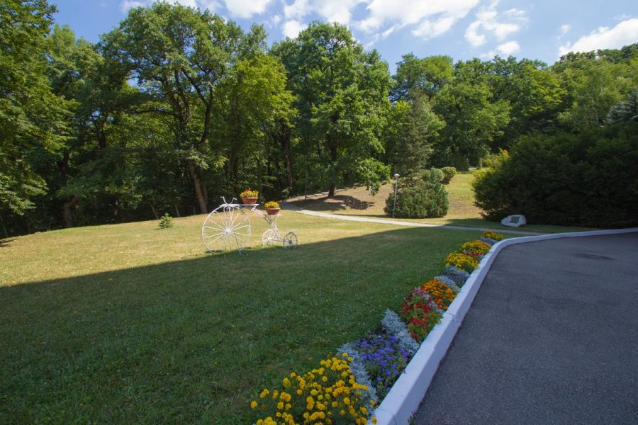 Территория в санатории Горный воздух в городе Железноводске - фотография
