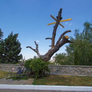 Курортный кот в санатории Горный воздух в городе Железноводске - фотография