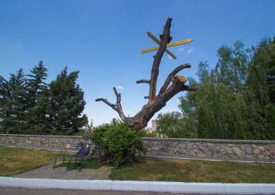 Курортный кот в санатории Горный воздух в городе Железноводске - фотография