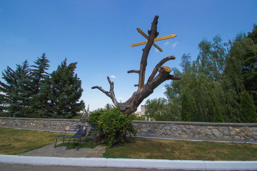 Курортный кот в санатории Горный воздух в городе Железноводске - фотография
