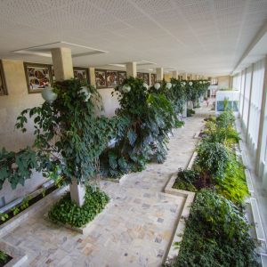 Зимний сад в санатории Горный воздух в городе Железноводске - фотография