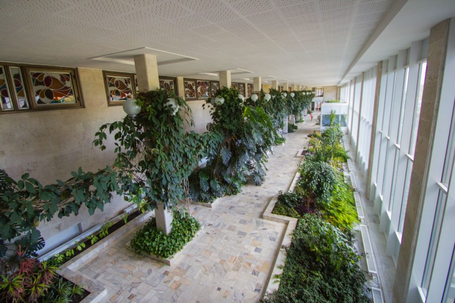 Зимний сад в санатории Горный воздух в городе Железноводске - фотография