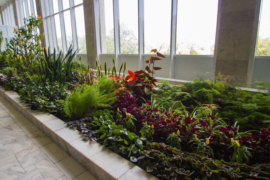 Зимний сад в санатории Горный воздух в городе Железноводске - фотография