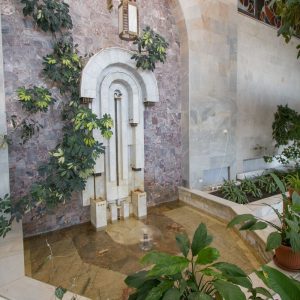 Зимний сад в санатории Горный воздух в городе Железноводске - фотография