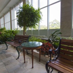 Зимний сад в санатории Горный воздух в городе Железноводске - фотография