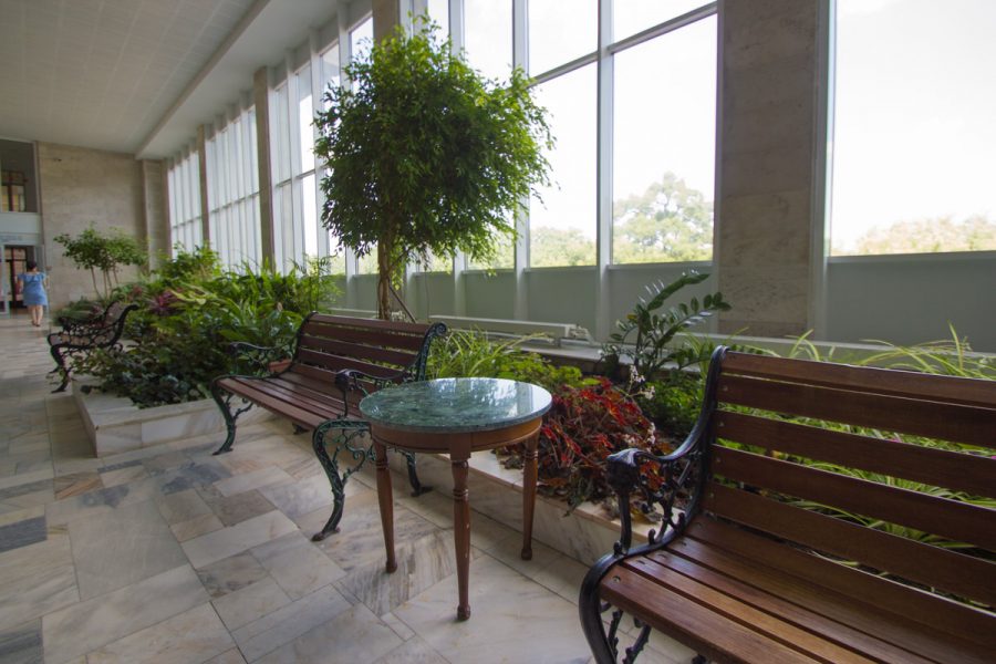 Зимний сад в санатории Горный воздух в городе Железноводске - фотография